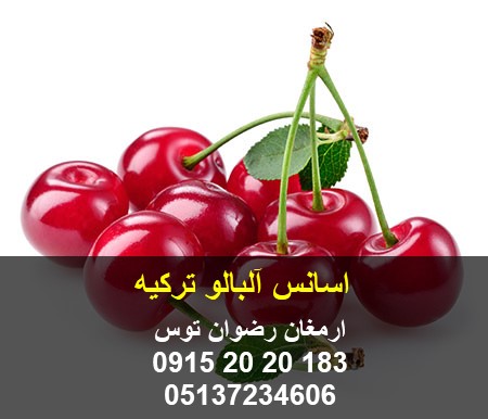 اسانس آلبالو ترکیه