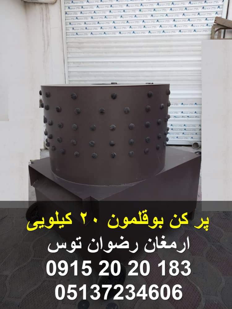 پر کن بوقلمون 20 کیلویی