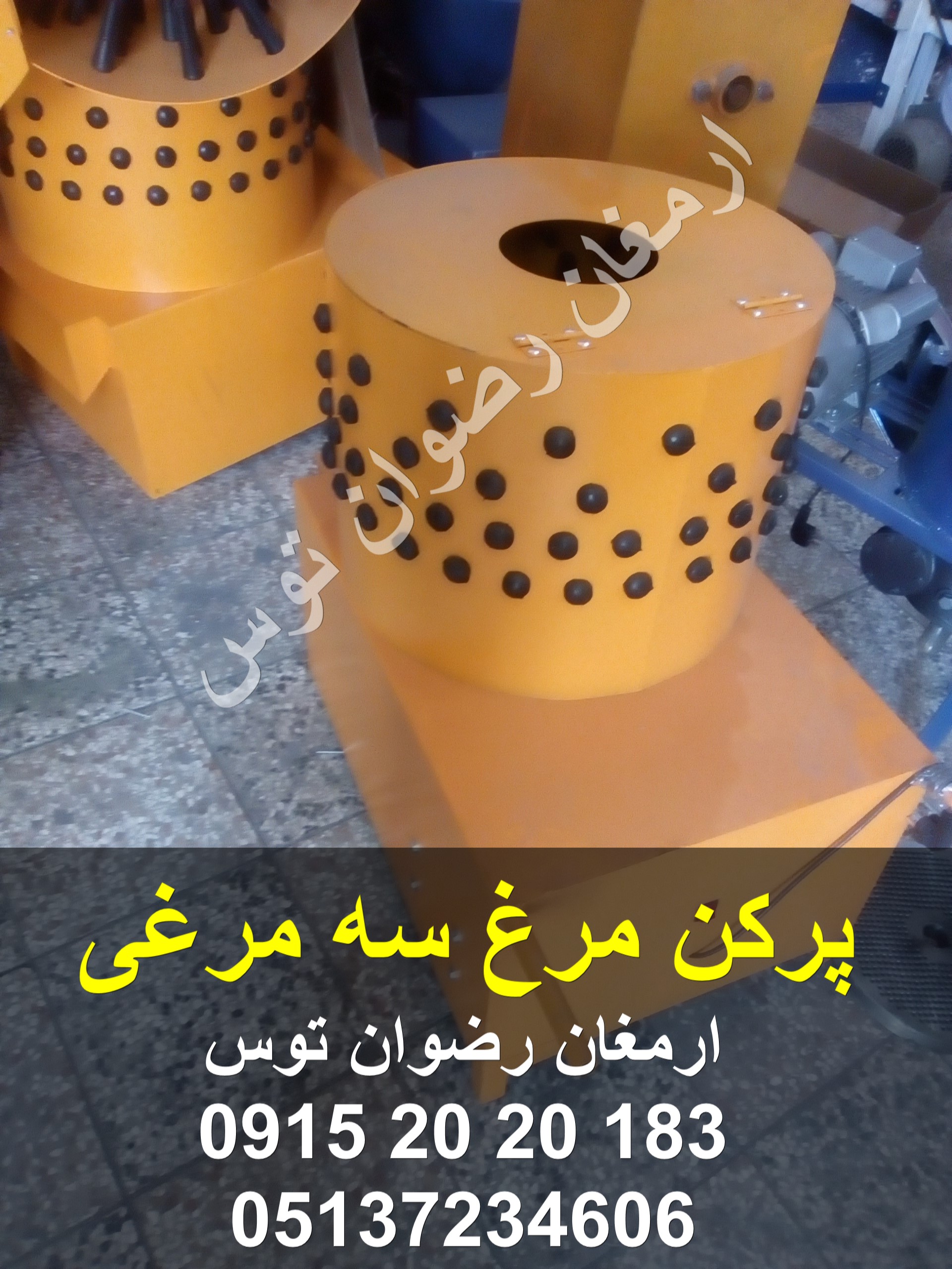 پرکن مرغ سه مرغی