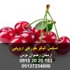 اسانس آلبالو خوراکی اروپایی با دوز مصرف بسیار پایین مناسب پودر ژله و انواع دسر و نوشیدنی های پودری و آماده آلبالویی 09152020183 و 05137234606