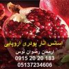 اسانس انار پودری اروپایی واردات اسانس انار خوراکی جهت تولید محصولات صنایع غذایی نظیر انواع پودر ژله و دسر 09152020183 و 05137234606