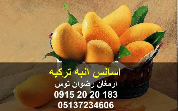 اسانس انبه ترکیه با دوز مصرف بسیار پایین مناسب پودر ژله و انواع دسر و نوشیدنی های پودری و آماده با طعم انبه 09152020183 و 05137234606