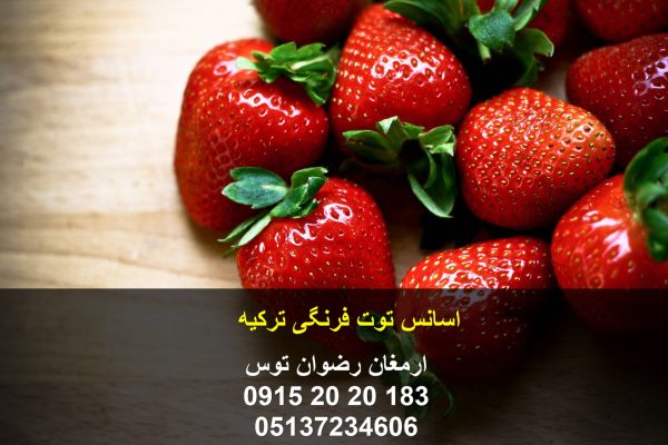 اسانس توت فرنگی ترکیه با دوز مصرف بسیار پایین مناسب پودر ژله و انواع دسر و نوشیدنی های پودری و آماده توت فرنگی 09152020183 و 05137234606