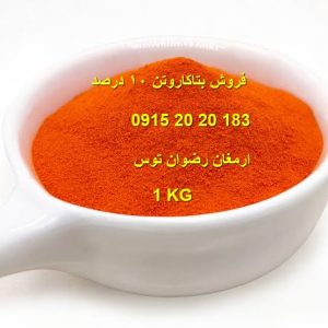 وارد کننده و فروش بتاکاروتن ۱۰ درصد پودری